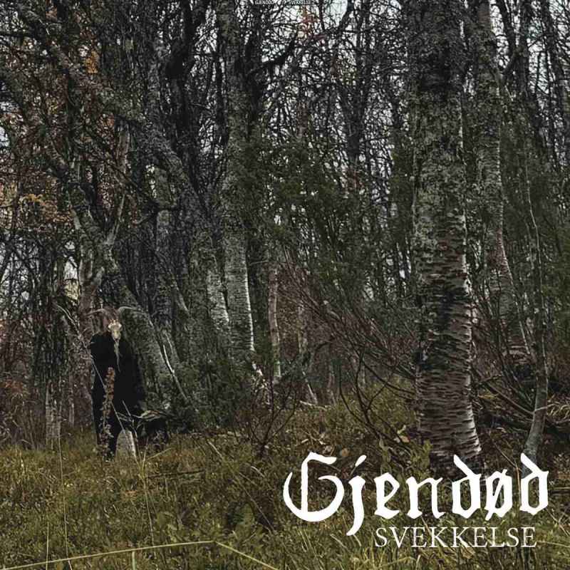GJENDØD - Svekkelse CD